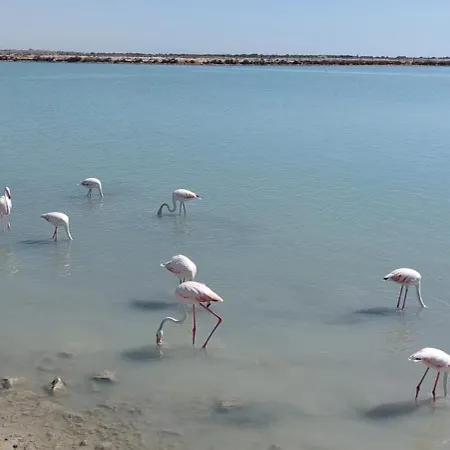 Playa La Mata Puerto Torrevieja * La Mata (Torrevieja)