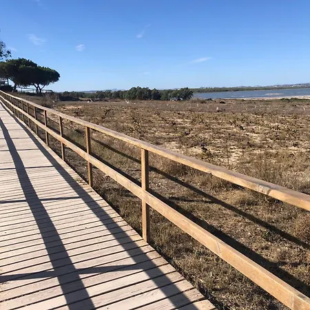 Playa La Mata Puerto Torrevieja La Mata (Torrevieja)